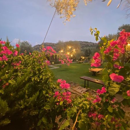 Suzi'Nin Bahcesi Bungalov Evler Datça Extérieur photo