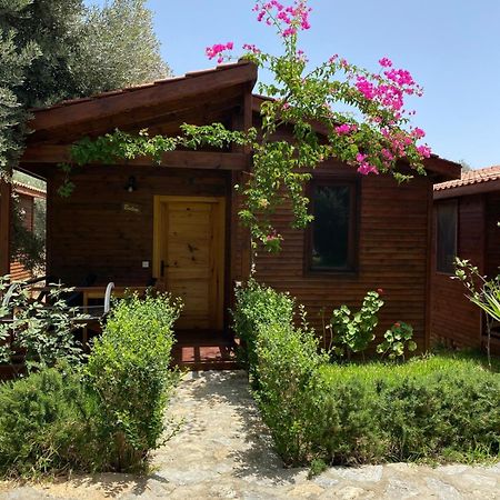 Suzi'Nin Bahcesi Bungalov Evler Datça Extérieur photo