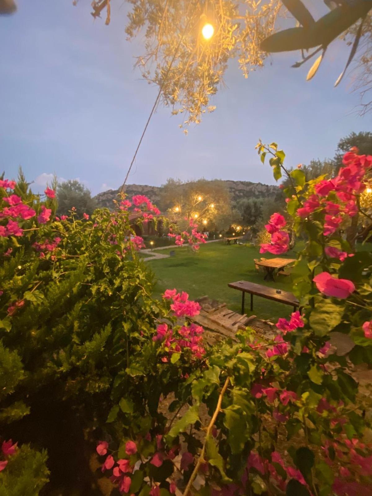 Suzi'Nin Bahcesi Bungalov Evler Datça Extérieur photo