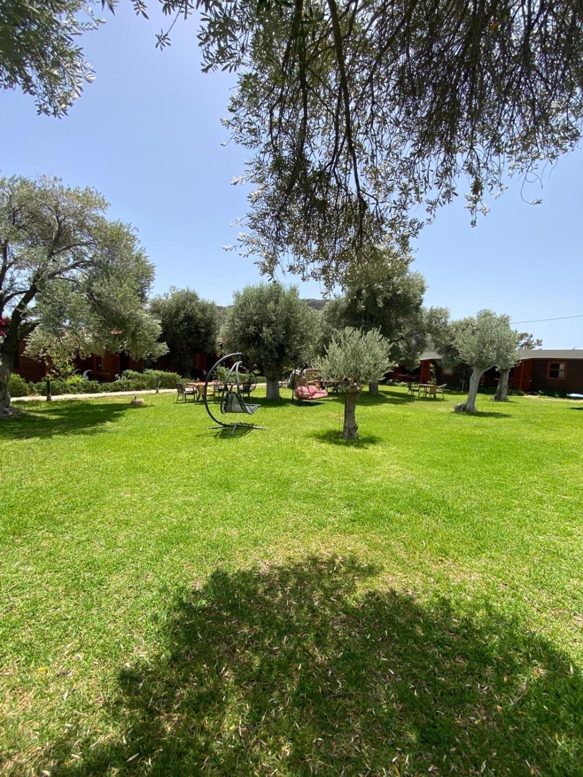 Suzi'Nin Bahcesi Bungalov Evler Datça Extérieur photo