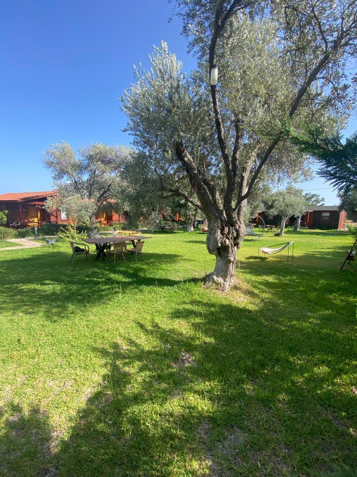 Suzi'Nin Bahcesi Bungalov Evler Datça Extérieur photo